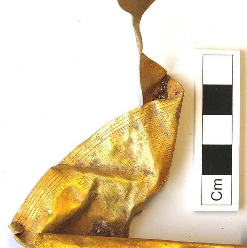 Wired for the Bell: The Neuroscience Behind Humanity's Oldest Sonic Obsession