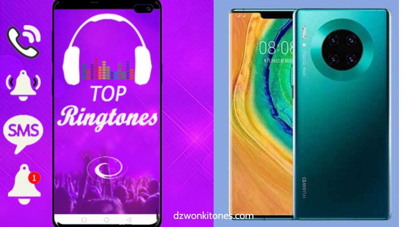 Diversity in Melodies of Huawei Phone Ringtones
